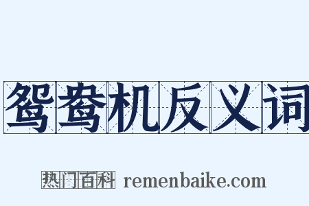 鸳鸯机反义词是什么意思的图片